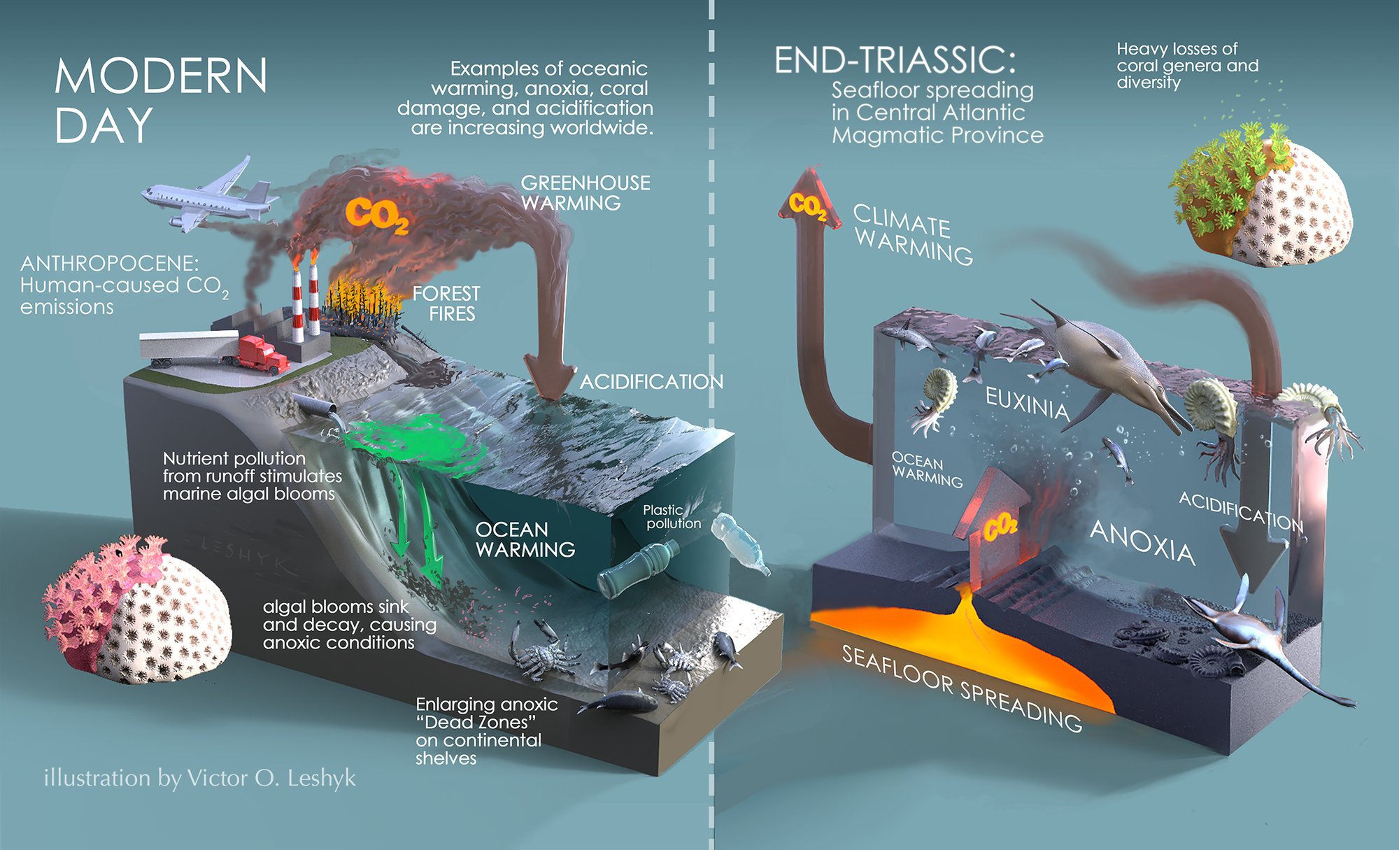 End-Triassic ocean disruption