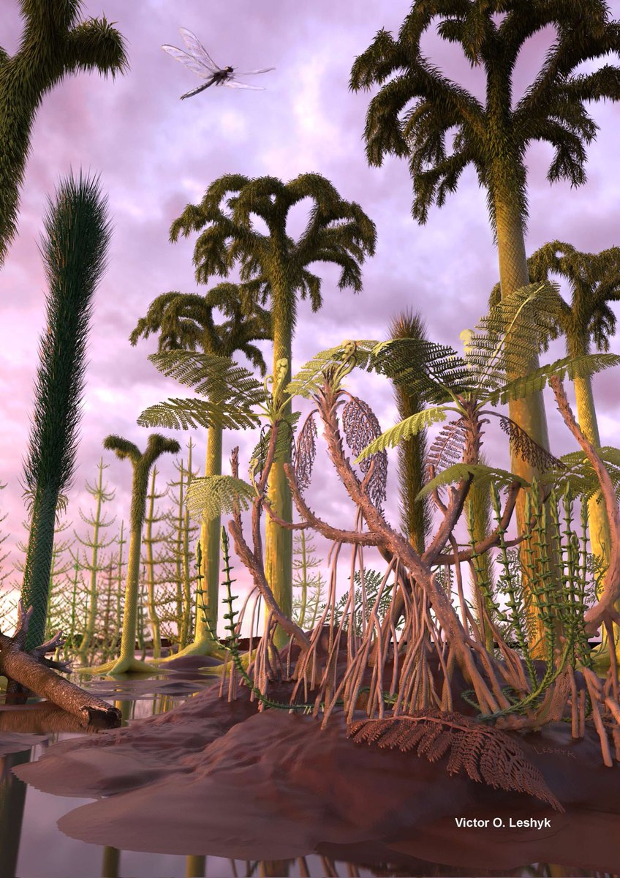 Carboniferous swamp forest